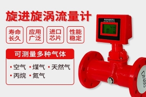旋进漩涡流量计