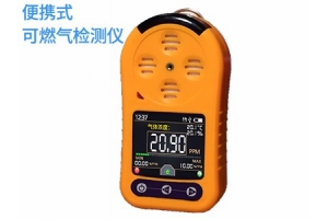 便携式可燃气检测仪