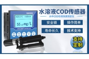 水质COD在线快速测定仪